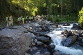 24h Hike Mammut_Ochsner 'Meiringen_Grosse Scheidegg 1962m' 18_08_2012 (65)